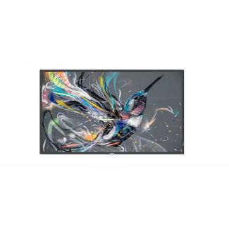 55BDL3511Q 55" UHD 18/7 Display